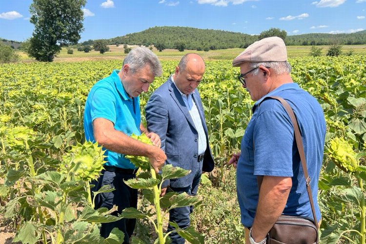 CHP’li Tekirdağ Milletvekili Aygun, Tarım Bakanı’na Bursa Ovası’ndan seslendi