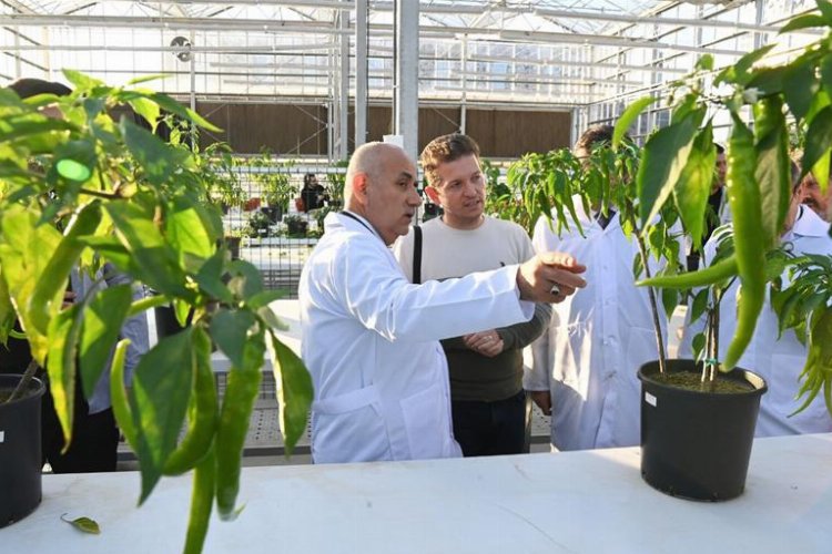 Bakan Kirişci, Kocaeli’de Ar-Ge seralarında