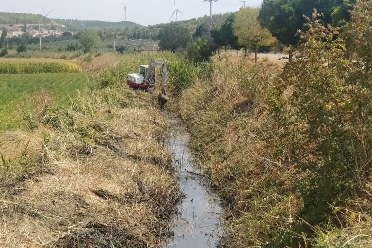 Manisa Kırkağaç’ta taşkınlara karşı dere temizliği