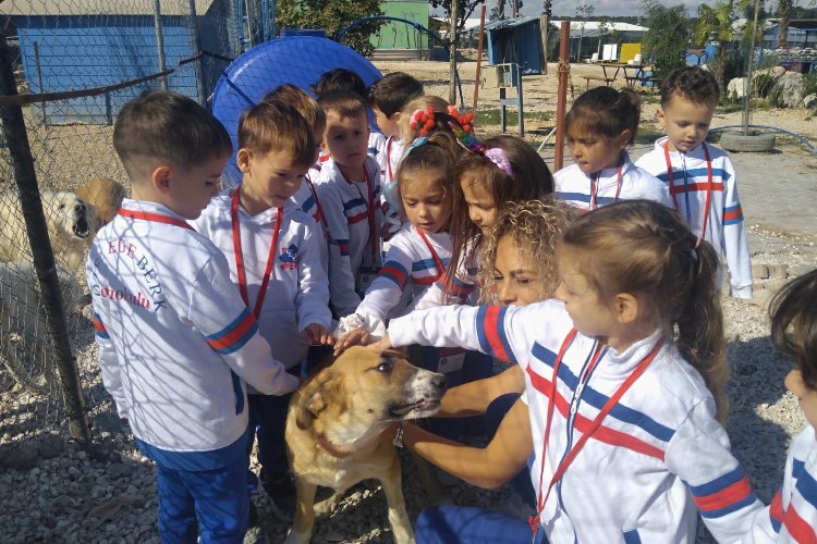 Bursa’da miniklerden sevimli  dostlara renkli ziyaret