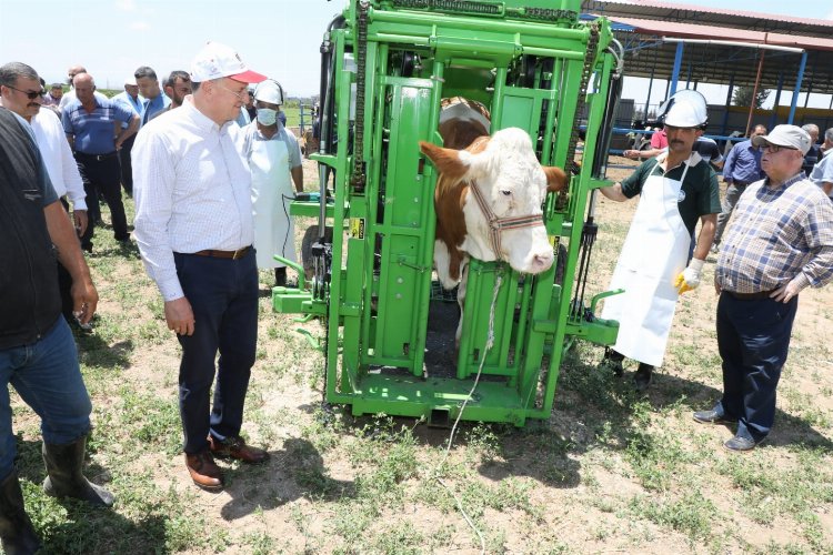 Hatay’da üreticiliğe verilen destek karşılığını buluyor