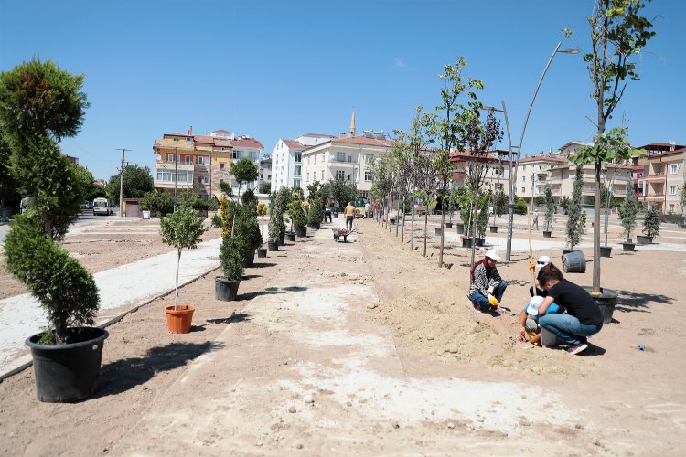 Nevşehir Belediyesi’nden ağaç hamlesi