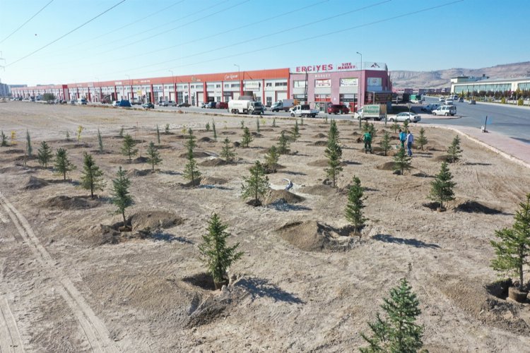 Kayseri Kocasinan’da ağaçlandırma sezonu başlıyor